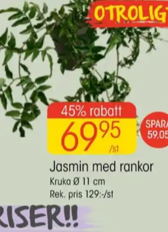 EKO Vanish krukväxt erbjuda