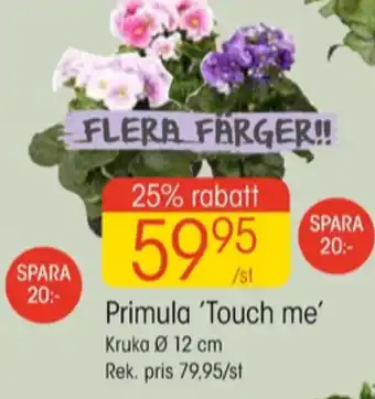 EKO Vanish krukväxt erbjuda