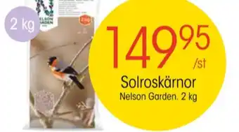 EKO Nelson garden solrosfrön erbjuda