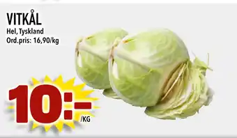 Vitkål