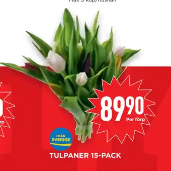 Willys Hemma Tulpaner 15-pack erbjuda