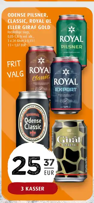 Scandinavian Park Odense pilsner, classic, royal øl eller giraf gold erbjuda