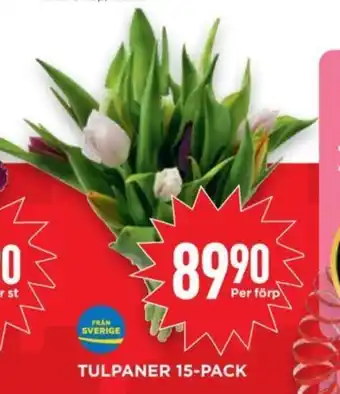 Willys TULPANER 15-PACK erbjuda
