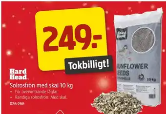 Jula Hard head solrosfrön erbjuda