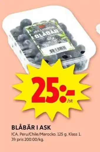 ICA Kvantum BLÅBÄR I ASK erbjuda