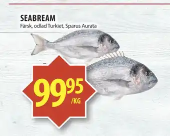 Matvärlden Tensta Seabream erbjuda