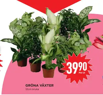 Willys Hemma Gröna växter erbjuda