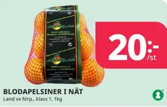 Tempo Apal apelsiner erbjuda