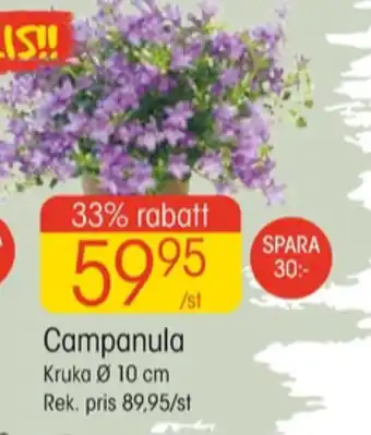 EKO Oral-b krukväxt erbjuda