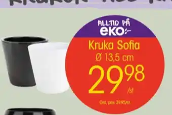 EKO Oral-b krukor erbjuda