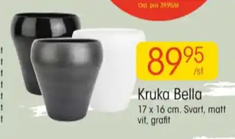EKO Oral-b krukor erbjuda