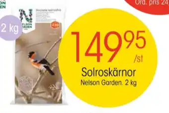 EKO Nelson garden solrosfrön erbjuda