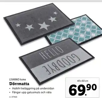 Lidl Dörrmatta erbjuda