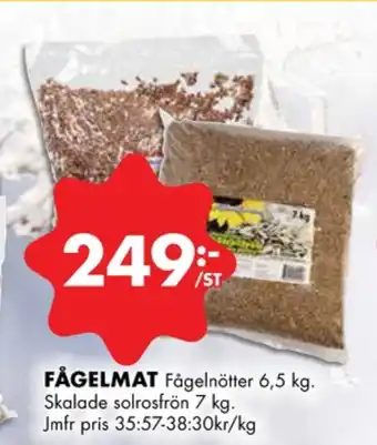 ÖoB Nature solrosfrön erbjuda