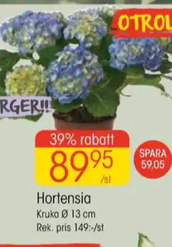 EKO Denver plantor erbjuda