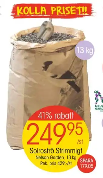 EKO Nelson garden solrosfrön erbjuda