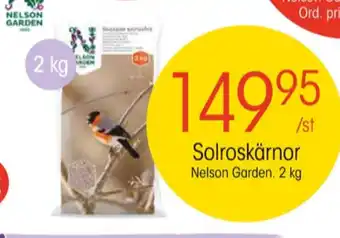 EKO Nelson garden solrosfrön erbjuda