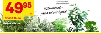 City Gross Gröna växter erbjuda
