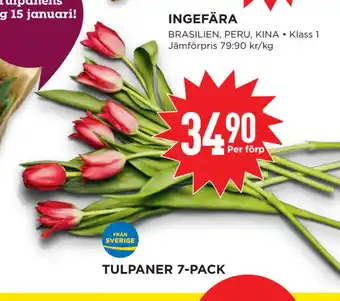 Willys Tulpaner 7-pack erbjuda