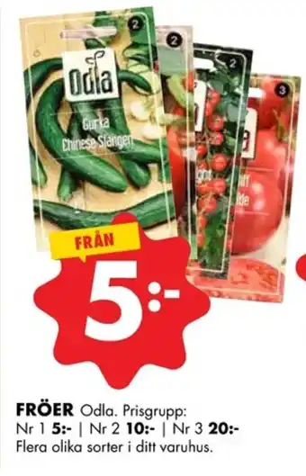 ÖoB FRÖER erbjuda