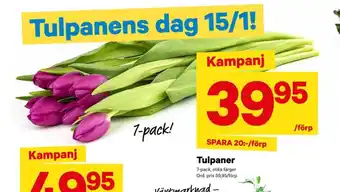 City Gross Garant blommor erbjuda