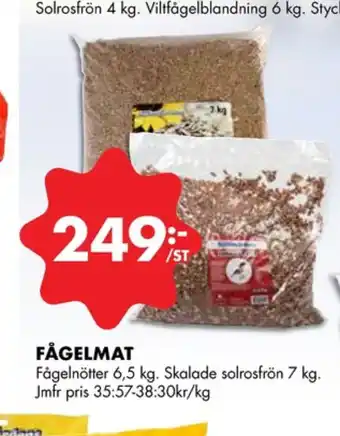 Sjöbogården solrosfrön