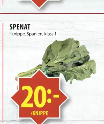 Matvärlden Tensta Spenat erbjuda