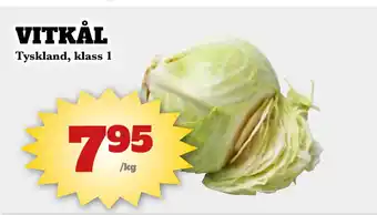 Vitkål