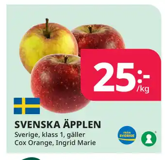 Tempo Svenska äpplen erbjuda