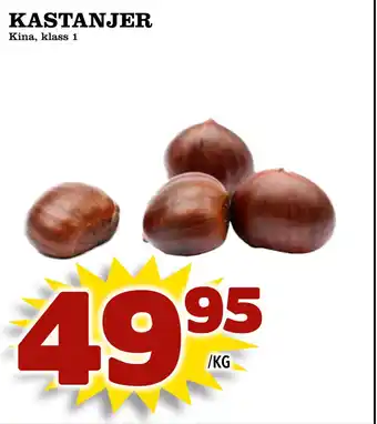 Supergrossen Kastanjer erbjuda