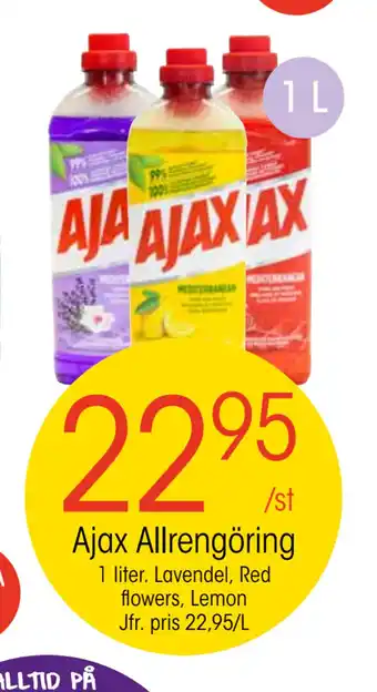 EKO Ajax allrengöring erbjuda