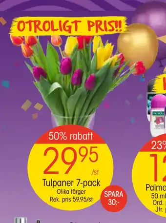 EKO Tulpaner 7-pack erbjuda