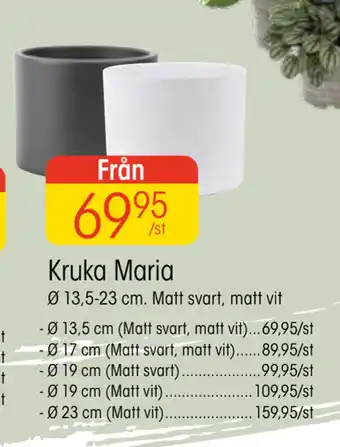 EKO Kruka maria erbjuda