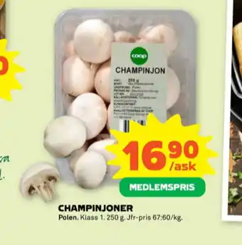 Stora Coop Coop champinjoner erbjuda