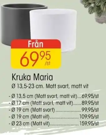 EKO Kruka Maria erbjuda