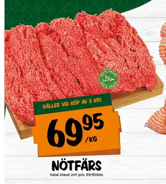 Bazaar Food market Nötfärs erbjuda
