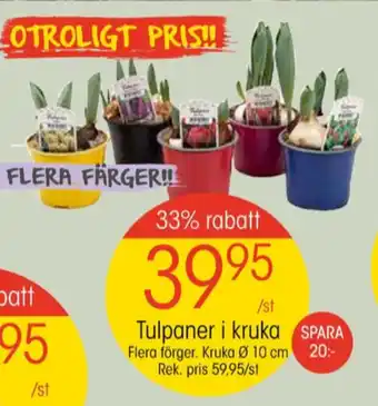 EKO Depend plantor erbjuda