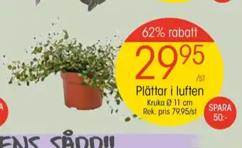 EKO Depend plantor erbjuda