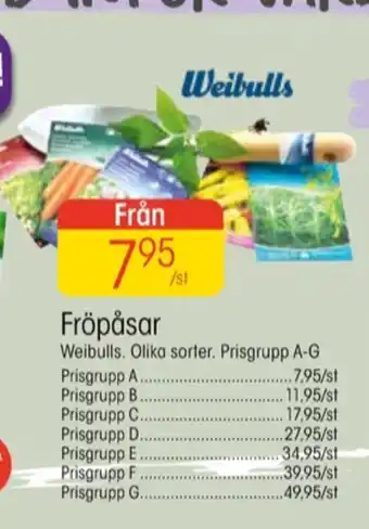 EKO Weibull fröpåsar erbjuda