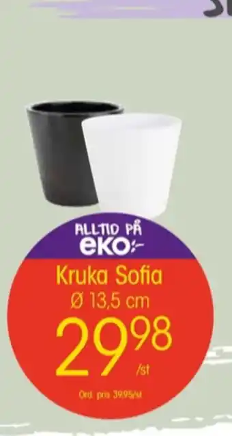 EKO Weibull krukor erbjuda