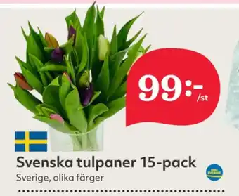 Hemköp Nature choise blommor erbjuda