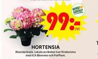 ICA Maxi Blomsterboda plantor erbjuda