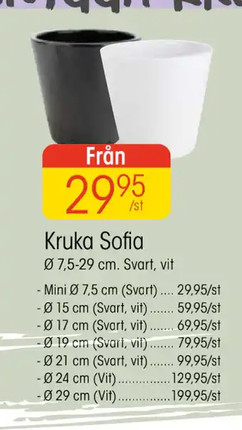 EKO Kruka sofia erbjuda