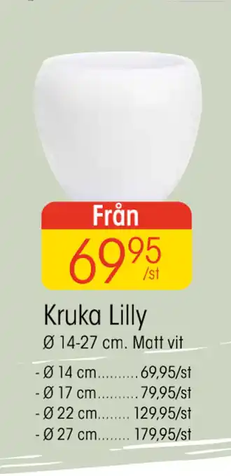 EKO Kruka lilly erbjuda