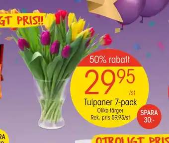 EKO Tulpaner 7-pack erbjuda