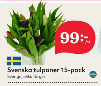 Hemköp Svenska tulpaner 15-pack erbjuda