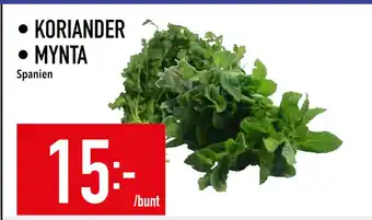 Matdax Koriander • mynta erbjuda