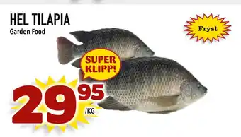 Nya Pulsen Hel tilapia erbjuda