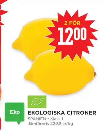 Willys Hemma Ekologiska citroner erbjuda