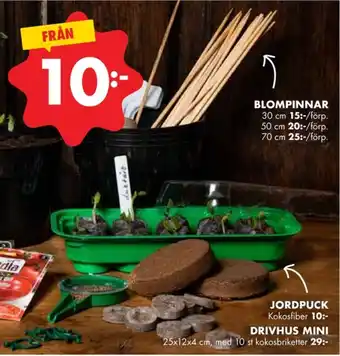 ÖoB Corny blompinne erbjuda